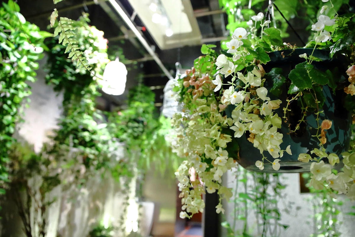 【食。台北】Art Garden 藝花源義法料理〜在花園裡用餐也太夢幻!顛覆你對傳統義式料理想像!(已歇業)