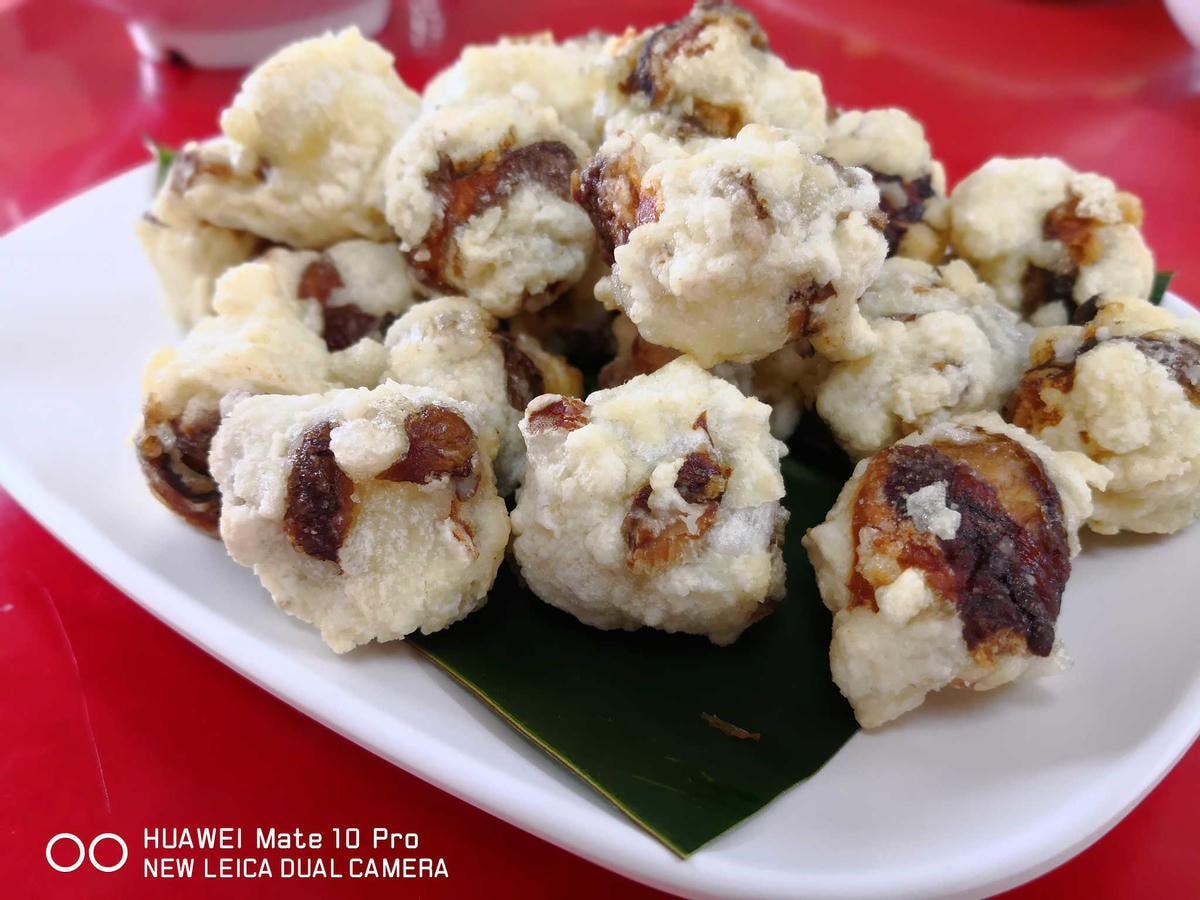 【遊。桃園】新溪口吊橋〜桃園新景點!全台最長吊橋,一個風景絕美,但耐力體力大考驗