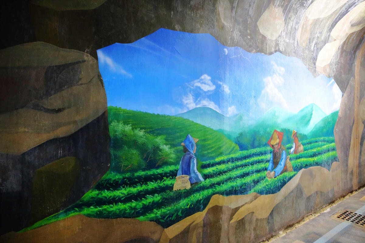 【遊。桃園】新溪口吊橋〜桃園新景點!全台最長吊橋,一個風景絕美,但耐力體力大考驗