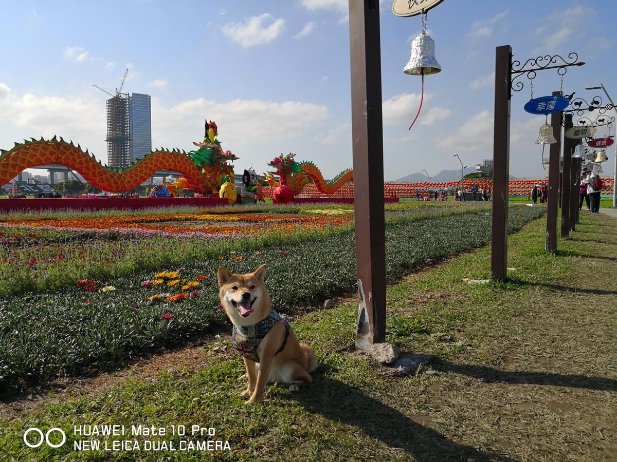 【遊。三重】2018新北市旺來福來祈福燈會〜吃元宵、看花燈！新北市首次元宵燈會，3/1晚上點燈！