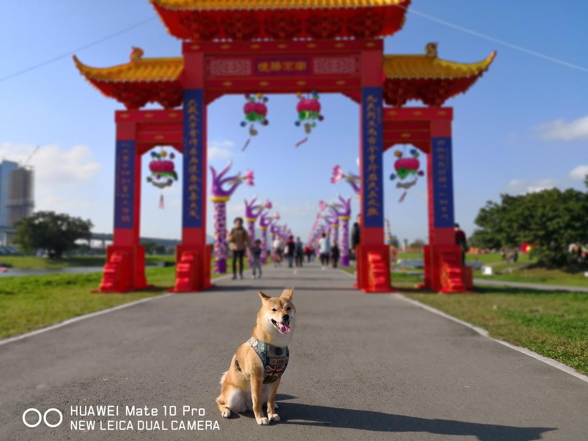 【遊。三重】2018新北市旺來福來祈福燈會〜吃元宵、看花燈！新北市首次元宵燈會，3/1晚上點燈！