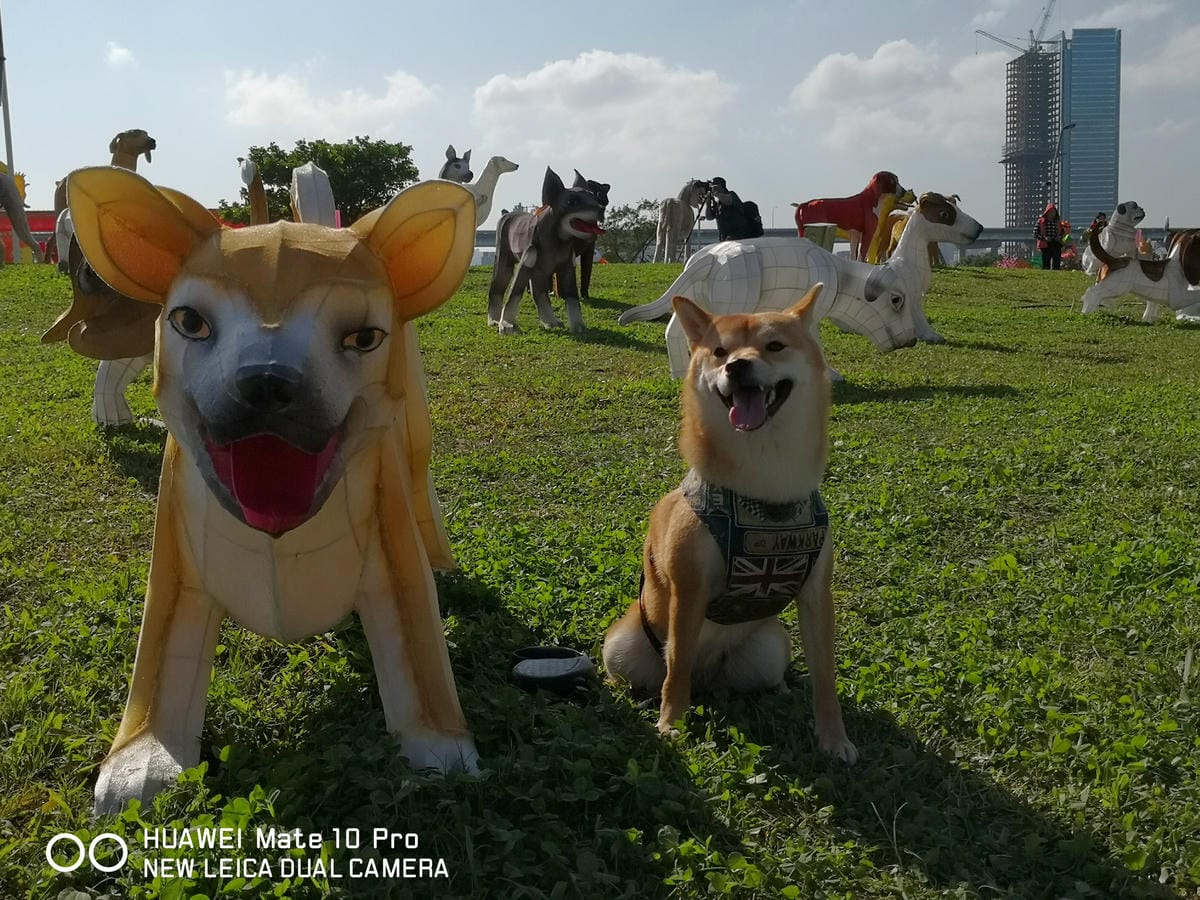 【遊。三重】2018新北市旺來福來祈福燈會〜吃元宵、看花燈！新北市首次元宵燈會，3/1晚上點燈！