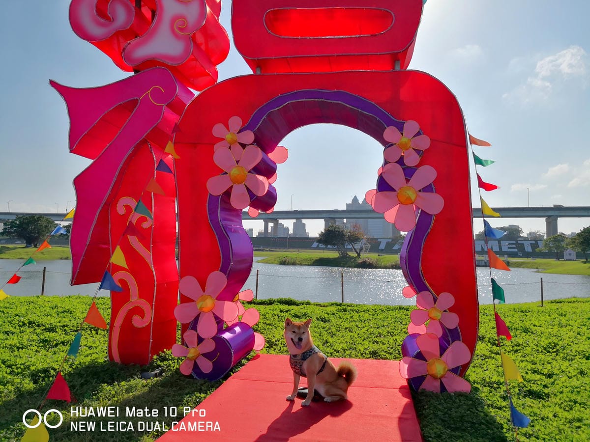 【遊。三重】2018新北市旺來福來祈福燈會〜吃元宵、看花燈！新北市首次元宵燈會，3/1晚上點燈！