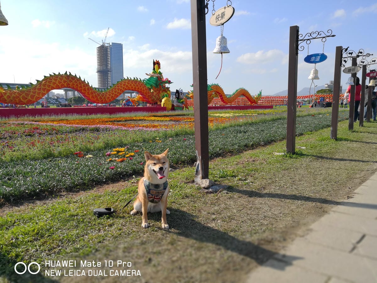 【遊。三重】2018新北市旺來福來祈福燈會〜吃元宵、看花燈！新北市首次元宵燈會，3/1晚上點燈！