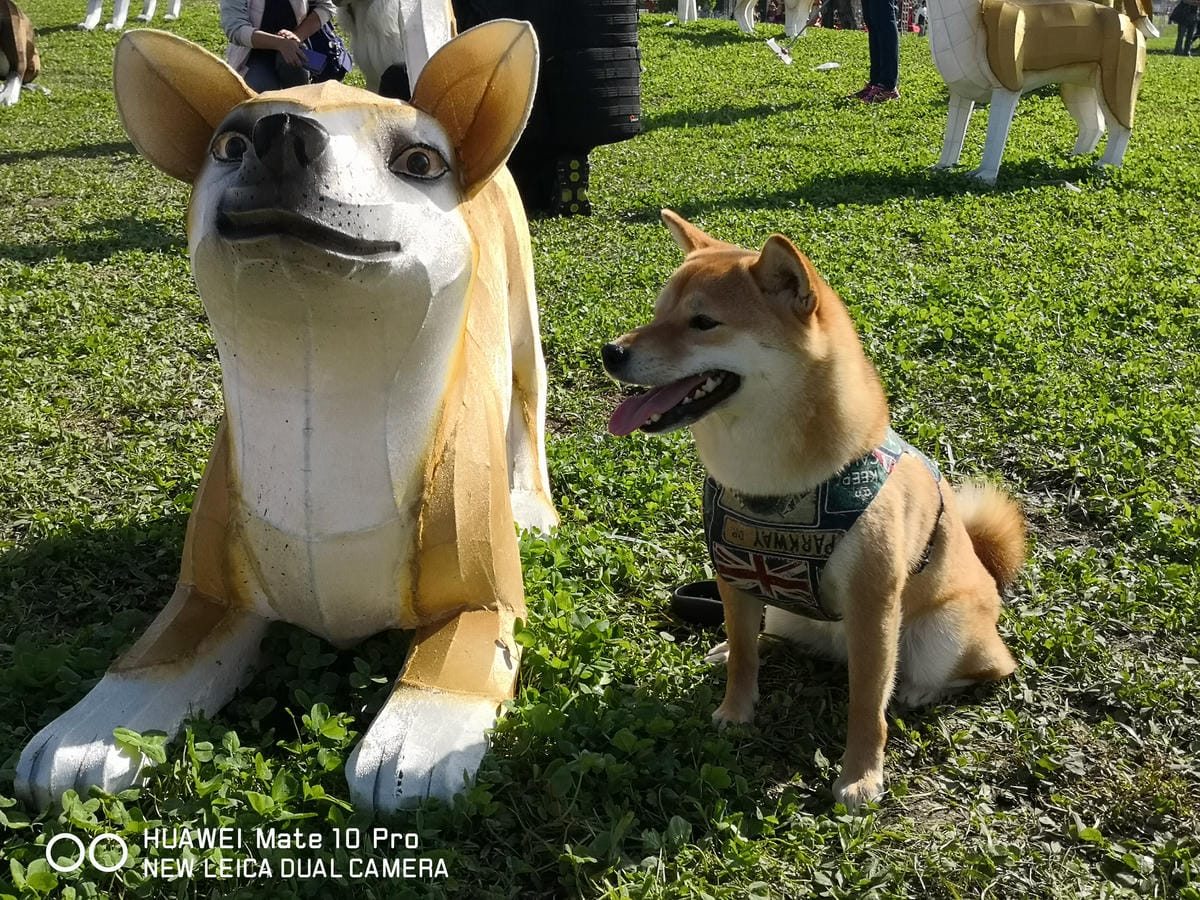 【遊。三重】2018新北市旺來福來祈福燈會〜吃元宵、看花燈！新北市首次元宵燈會，3/1晚上點燈！