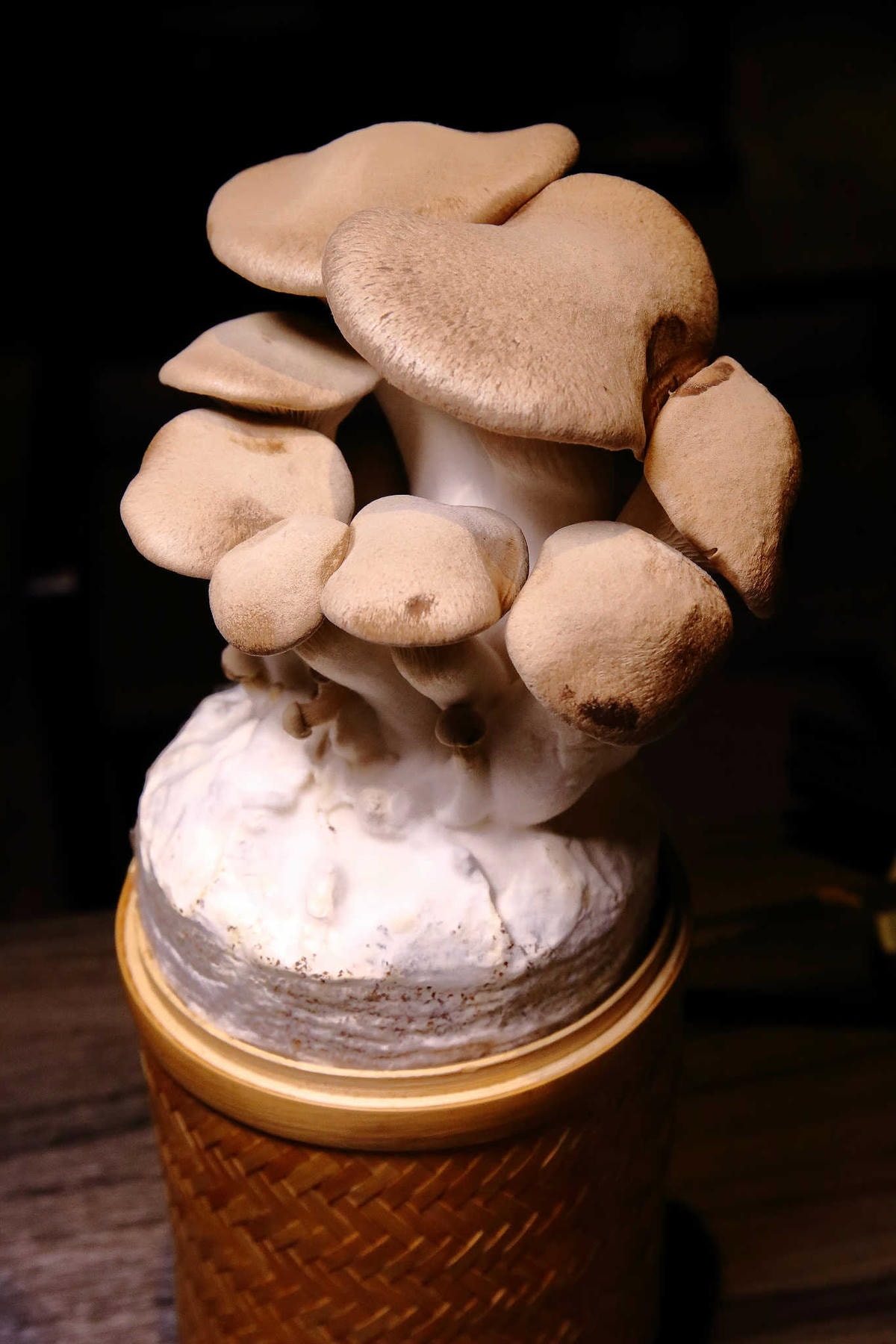 【食。台北】青花驕 麻辣鍋〜王品集團推出新品牌!麻辣鍋專賣店,獨特青花椒辣、香、麻,台北捷運中山站聚餐、約會火鍋首選