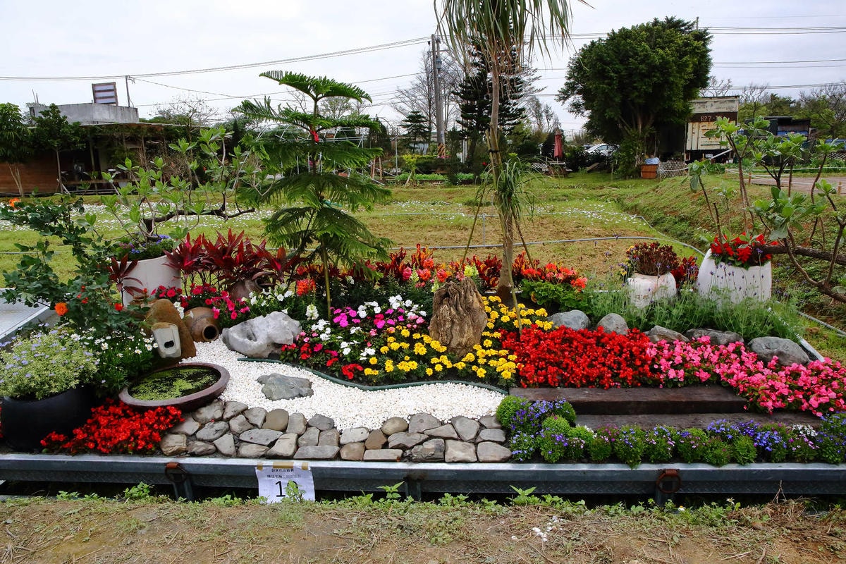 【遊。桃園】2018桃園彩色海芋季〜『戀人勝地,幸福桃園』,春遊放閃趣!整片彩色海芋花海田,展區搶先看!