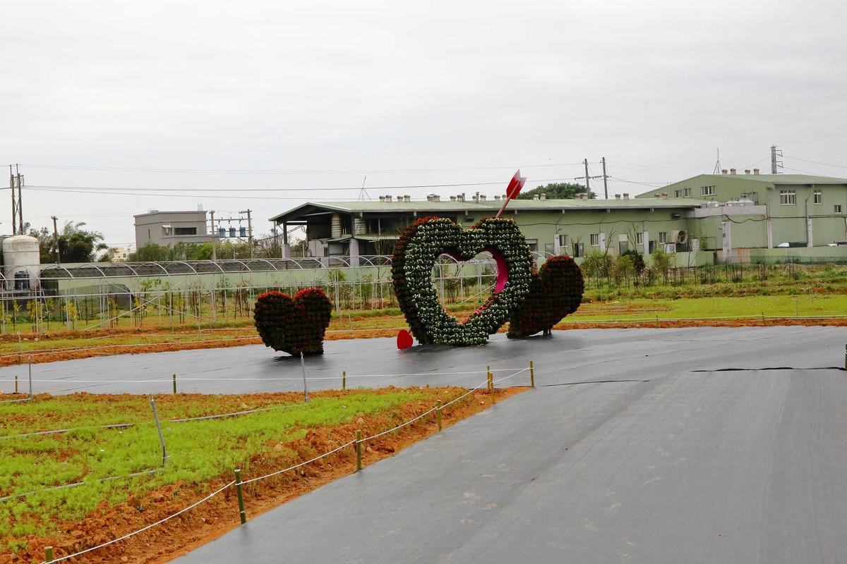【遊。桃園】2018桃園彩色海芋季〜『戀人勝地,幸福桃園』,春遊放閃趣!整片彩色海芋花海田,展區搶先看!