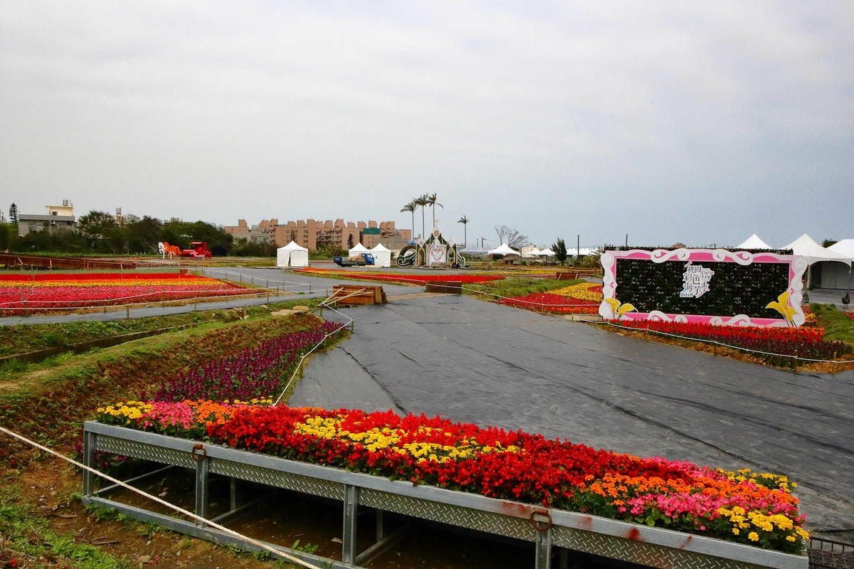 【遊。桃園】2018桃園彩色海芋季〜『戀人勝地,幸福桃園』,春遊放閃趣!整片彩色海芋花海田,展區搶先看!