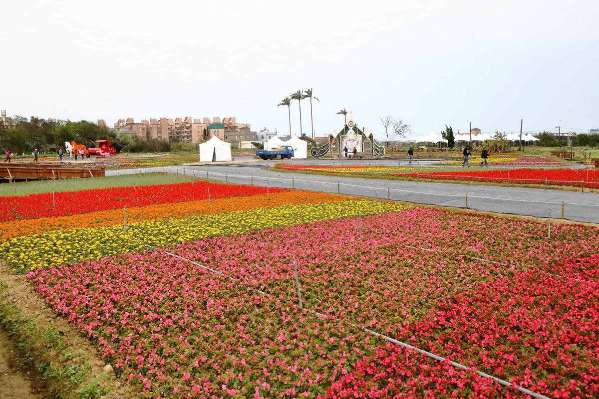 【遊。桃園】2018桃園彩色海芋季〜『戀人勝地,幸福桃園』,春遊放閃趣!整片彩色海芋花海田,展區搶先看!
