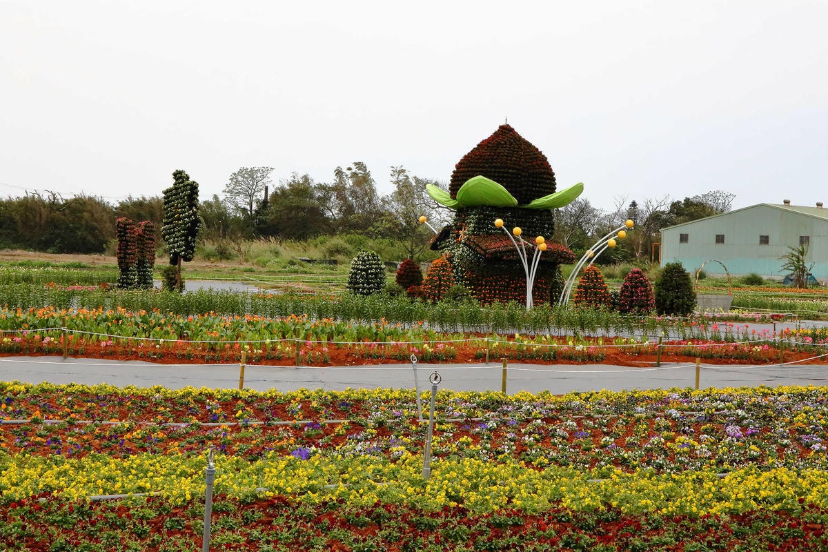 【遊。桃園】2018桃園彩色海芋季〜『戀人勝地,幸福桃園』,春遊放閃趣!整片彩色海芋花海田,展區搶先看!