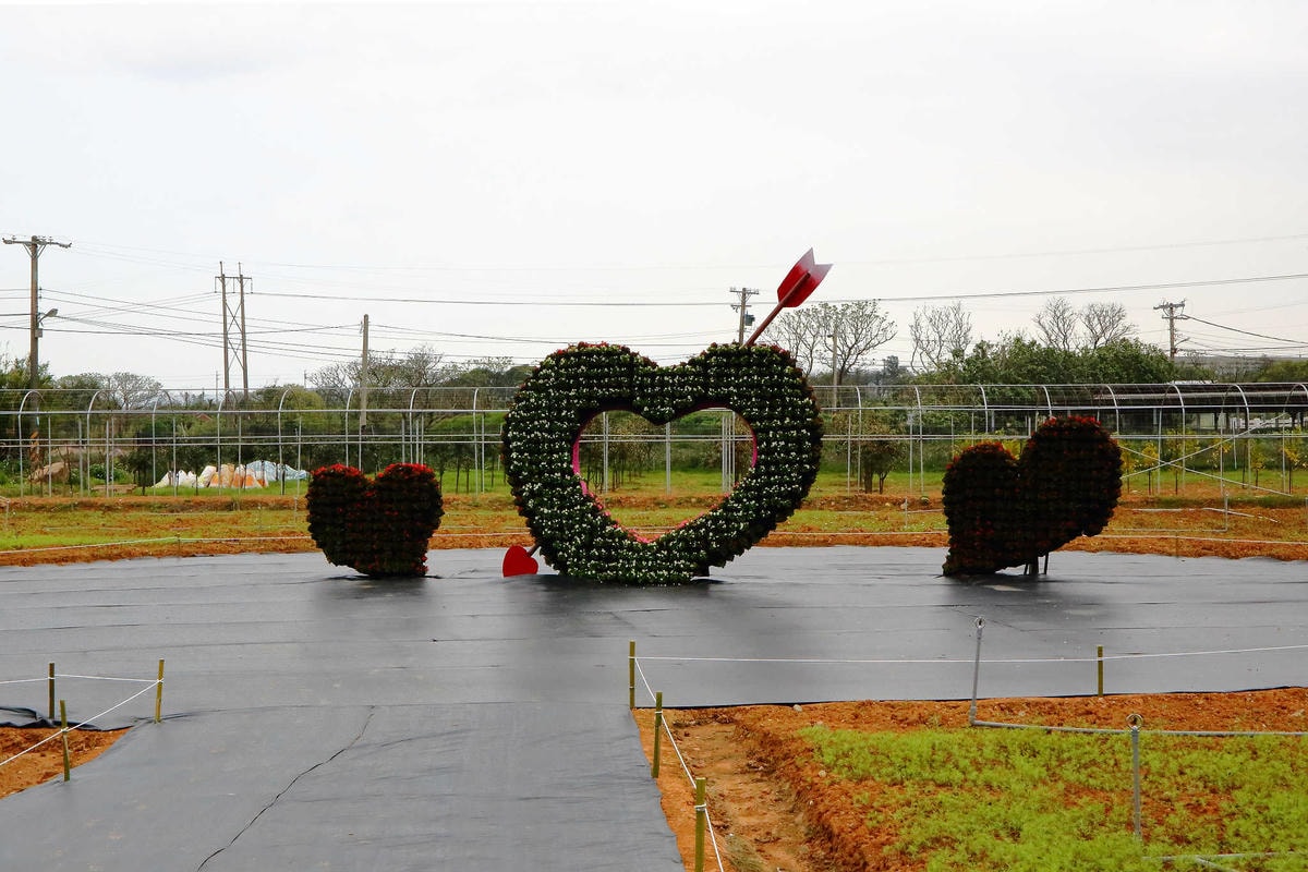 【遊。桃園】2018桃園彩色海芋季〜『戀人勝地,幸福桃園』,春遊放閃趣!整片彩色海芋花海田,展區搶先看!