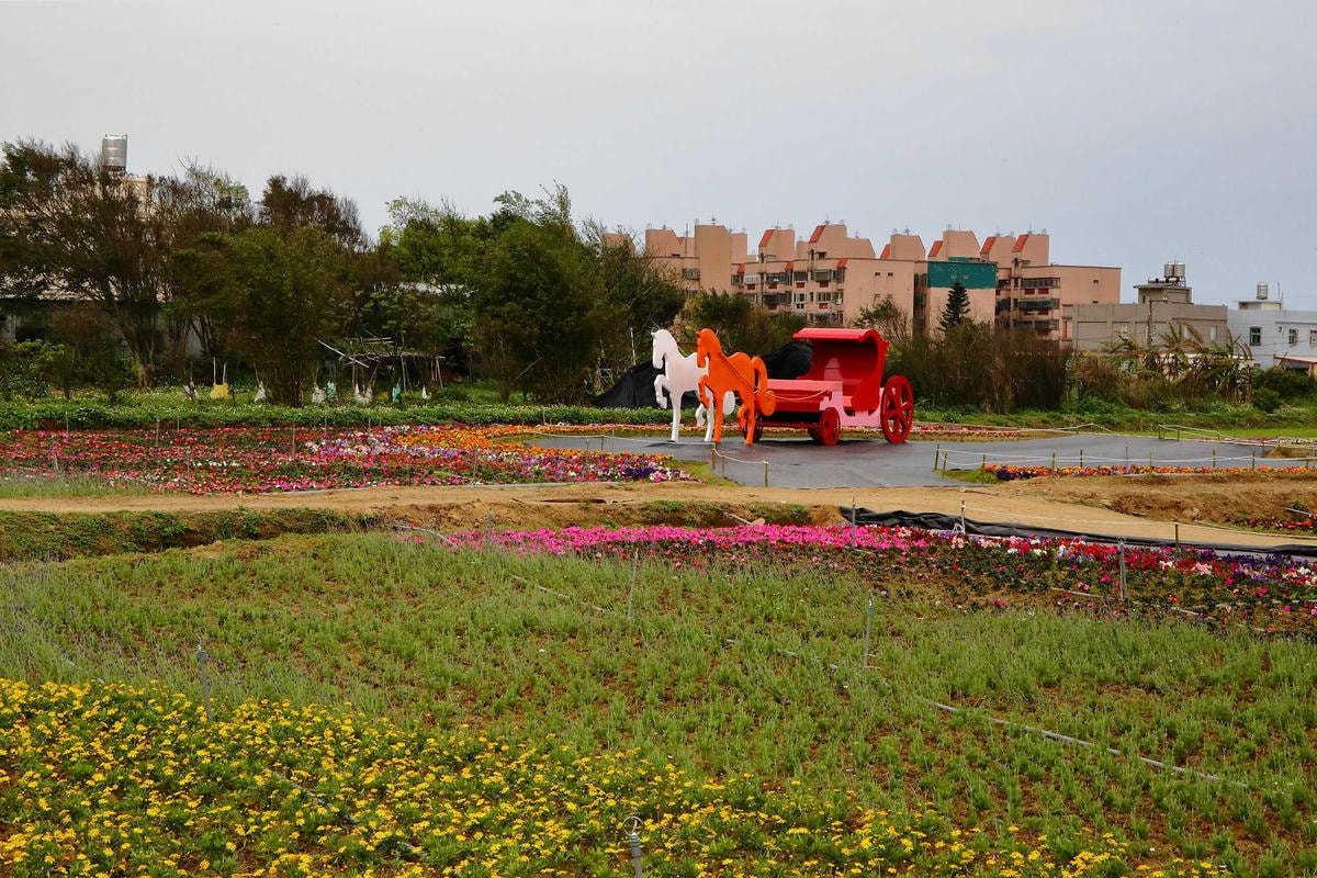 【遊。桃園】2018桃園彩色海芋季〜『戀人勝地,幸福桃園』,春遊放閃趣!整片彩色海芋花海田,展區搶先看!