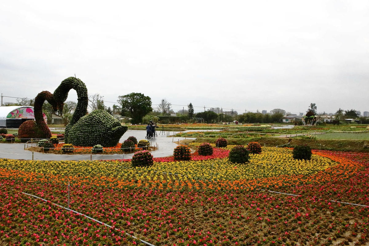 【遊。桃園】2018桃園彩色海芋季〜『戀人勝地,幸福桃園』,春遊放閃趣!整片彩色海芋花海田,展區搶先看!