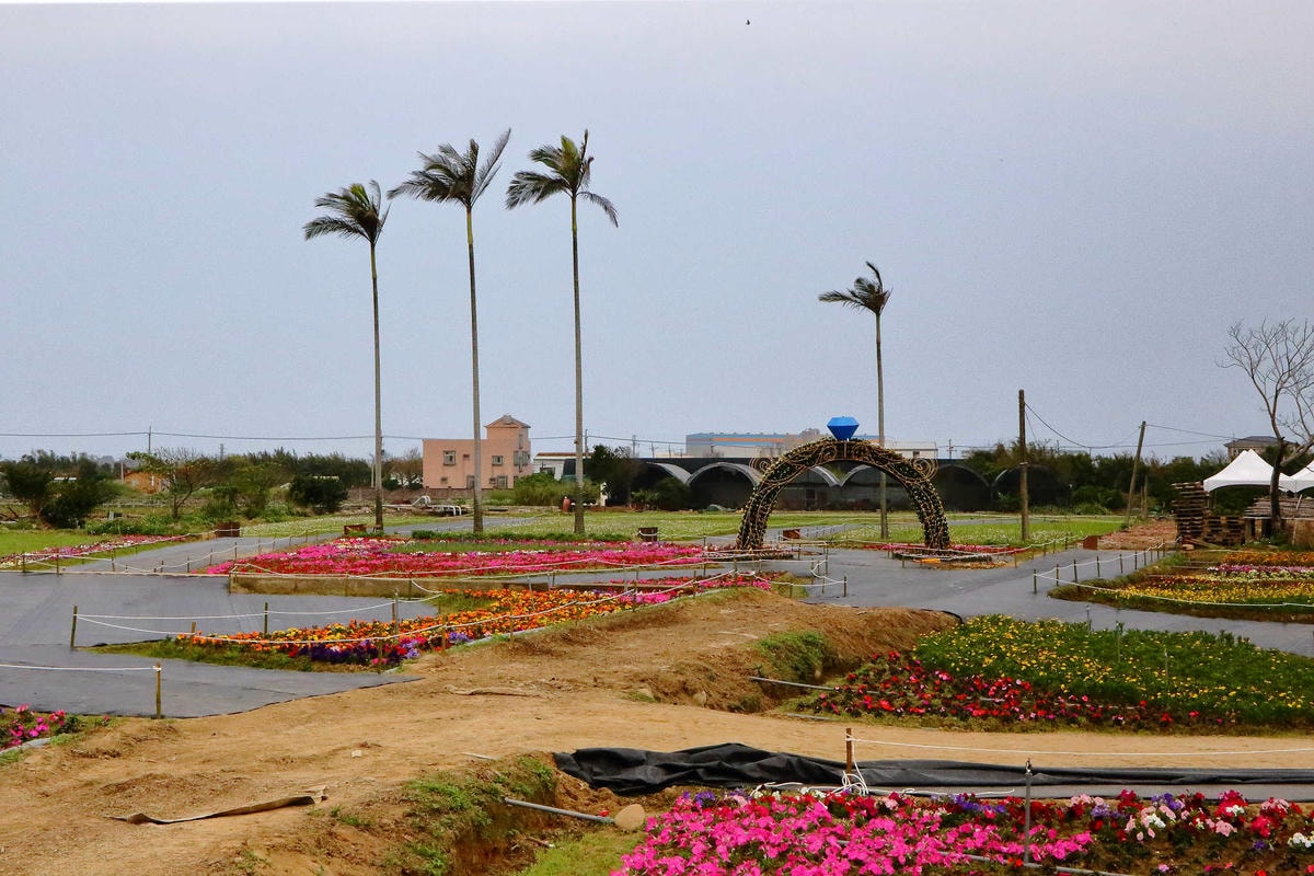 【遊。桃園】2018桃園彩色海芋季〜『戀人勝地,幸福桃園』,春遊放閃趣!整片彩色海芋花海田,展區搶先看!