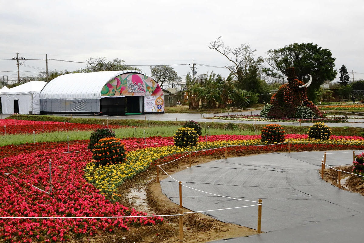 【遊。桃園】2018桃園彩色海芋季〜『戀人勝地,幸福桃園』,春遊放閃趣!整片彩色海芋花海田,展區搶先看!