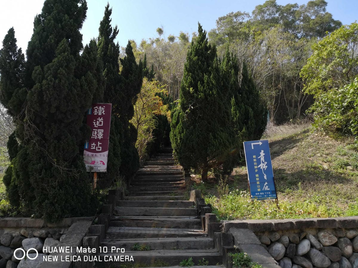 【食。苗栗】青松自在〜苗栗景觀餐廳。庭院×草皮×沙坑，適合遛孩子及毛小孩，有溫度家庭溫馨感的咖啡廳