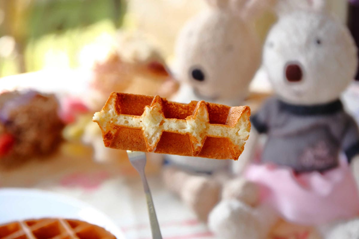【食。苗栗】青松自在〜苗栗景觀餐廳。庭院×草皮×沙坑，適合遛孩子及毛小孩，有溫度家庭溫馨感的咖啡廳