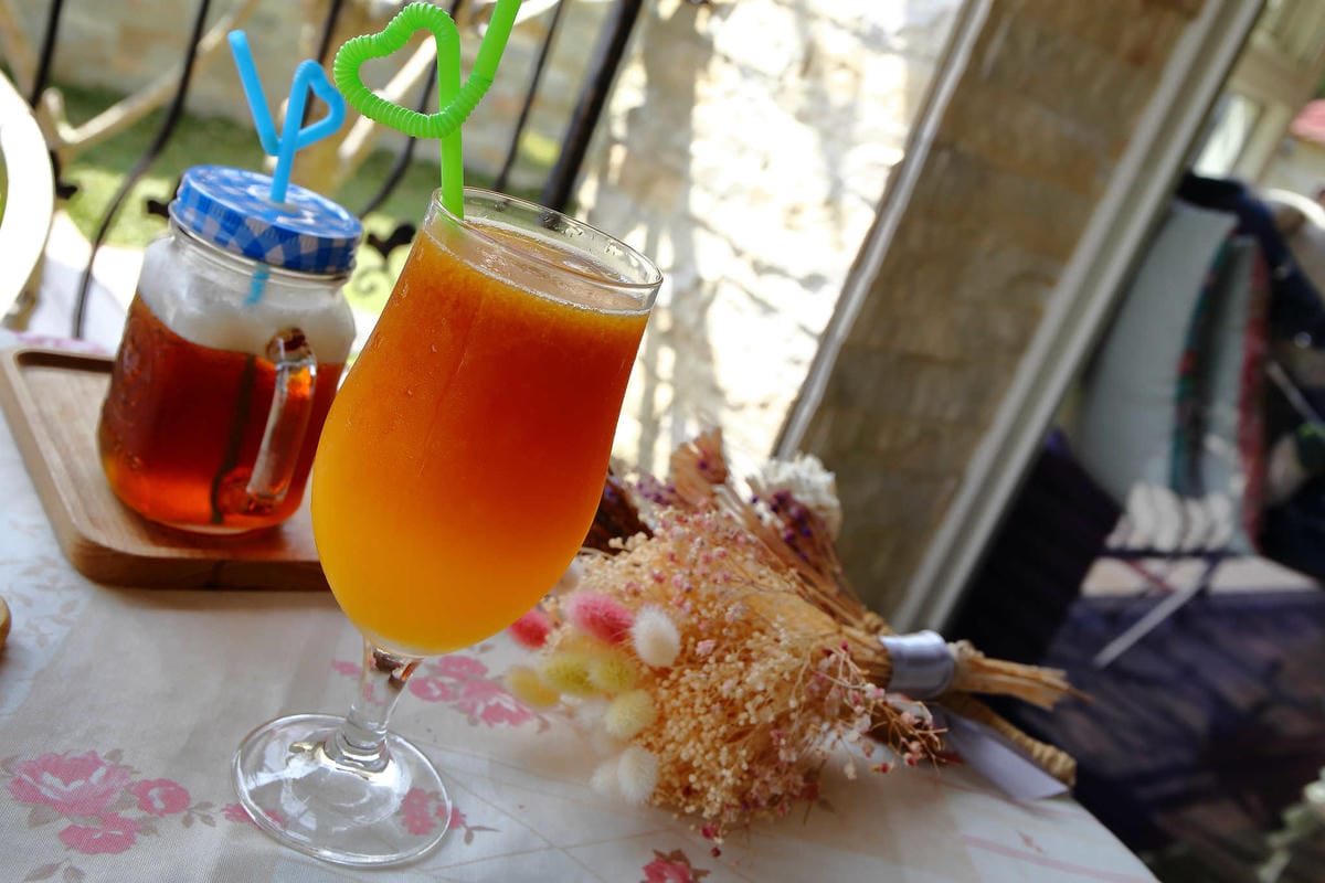 【食。苗栗】青松自在〜苗栗景觀餐廳。庭院×草皮×沙坑，適合遛孩子及毛小孩，有溫度家庭溫馨感的咖啡廳