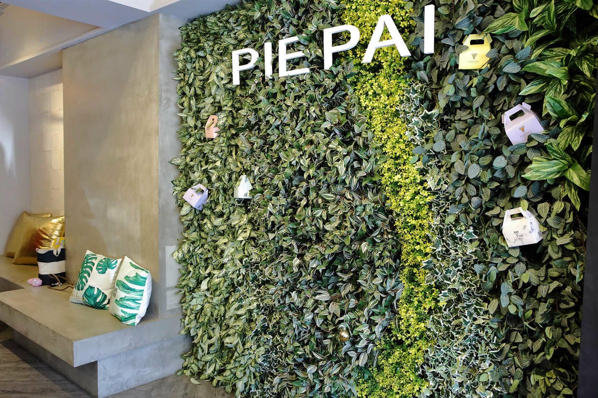 【食。桃園】Piepai Cafe’〜好好拍景點餐廳推薦。超美的室內花草植物牆，網美新打卡熱點！彩虹甜點，美到捨不得吃！(已歇業)