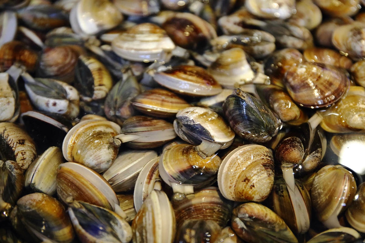 【食。中和】澎湖蒸鱻蒸氣火鍋〜中永和火鍋。超夯海鮮塔蒸氣火鍋來了,現撈波士頓龍蝦,活跳跳生猛海鮮,尚青ㄟ!(已歇業)