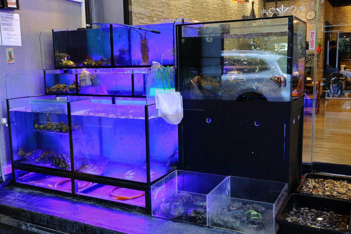 【食。中和】澎湖蒸鱻蒸氣火鍋〜中永和火鍋。超夯海鮮塔蒸氣火鍋來了,現撈波士頓龍蝦,活跳跳生猛海鮮,尚青ㄟ!(已歇業)