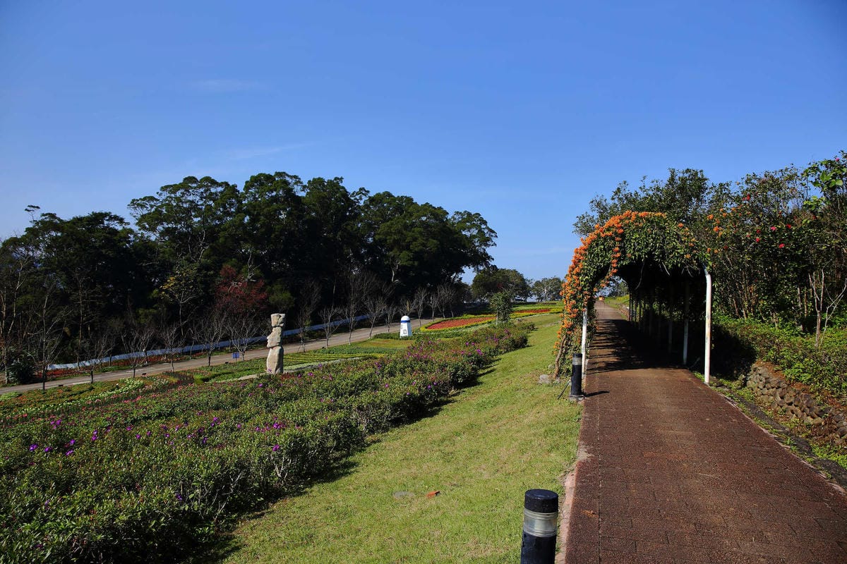 【遊。桃園】大溪花海農場〜打卡景點。復活節島的摩艾石像，帶毛小孩入花田賞花玩耍