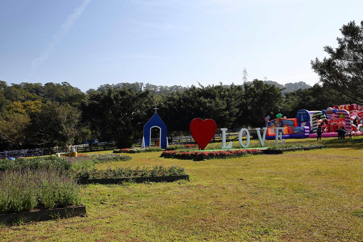 【遊。桃園】大溪花海農場〜打卡景點。復活節島的摩艾石像，帶毛小孩入花田賞花玩耍