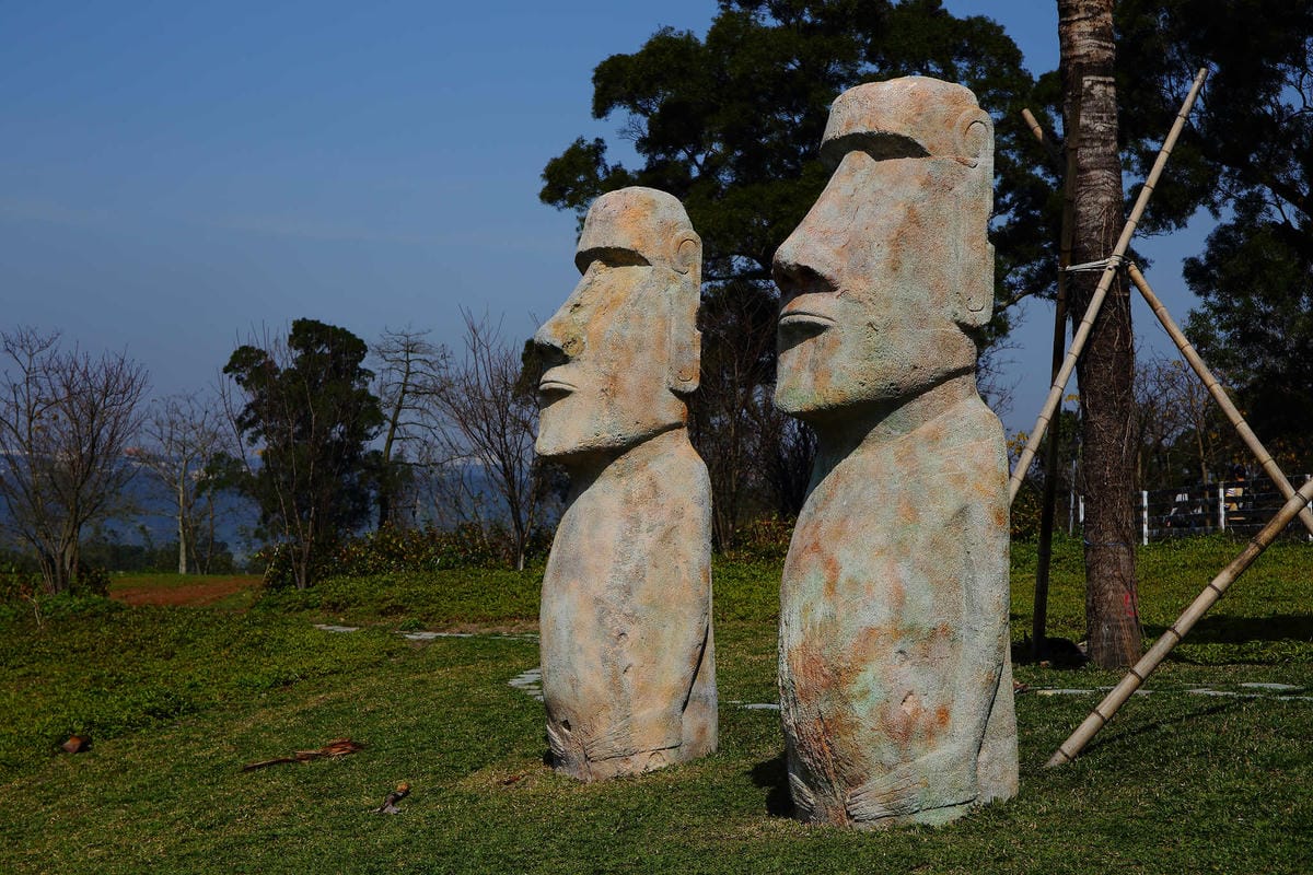 【遊。桃園】大溪花海農場〜打卡景點。復活節島的摩艾石像，帶毛小孩入花田賞花玩耍