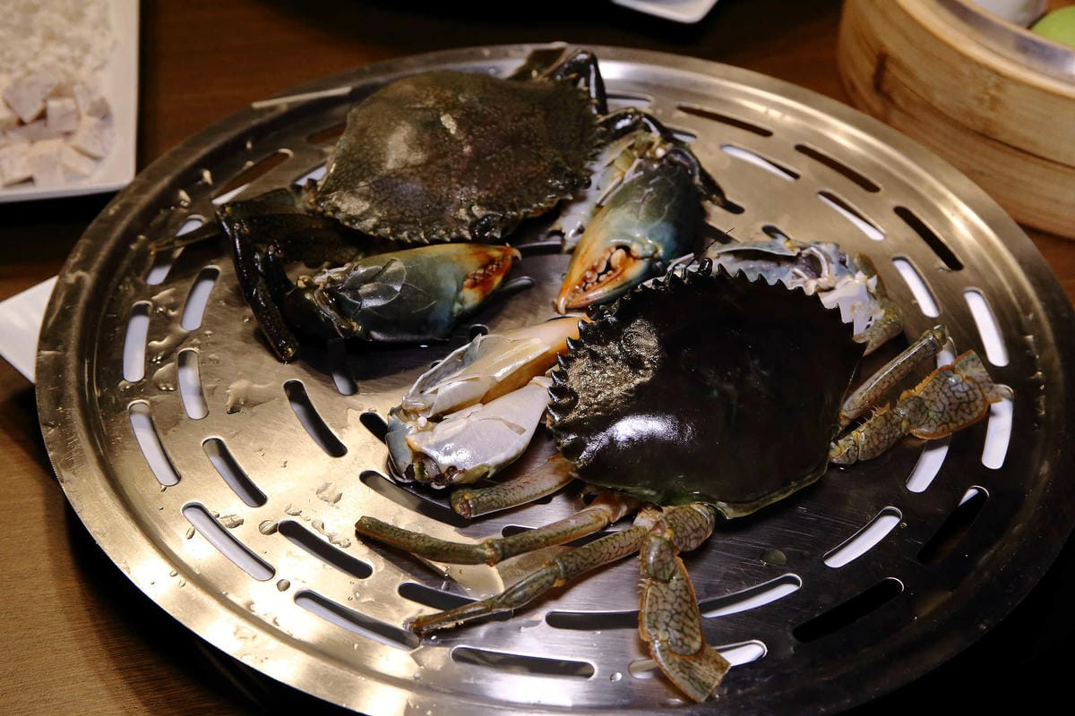 【食。桃園】御蒸饌蒸氣陶鍋餐廳〜高溫蒸汽烹調，蒸的好鮮！活體水產尚青ㄟ攏底加啦！(已歇業)