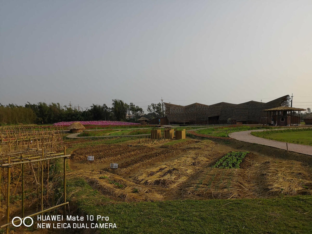 【遊。桃園】2018桃園農業博覽會〜最強地景藝術,保證拍出網美照!超好拍6大主題區、25展覽館打卡點攻略!