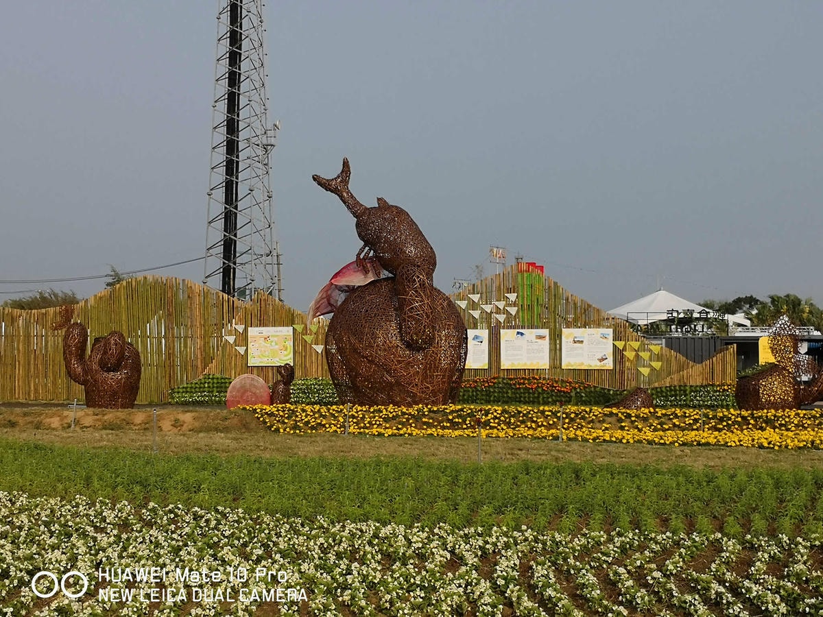 【遊。桃園】2018桃園農業博覽會〜最強地景藝術,保證拍出網美照!超好拍6大主題區、25展覽館打卡點攻略!