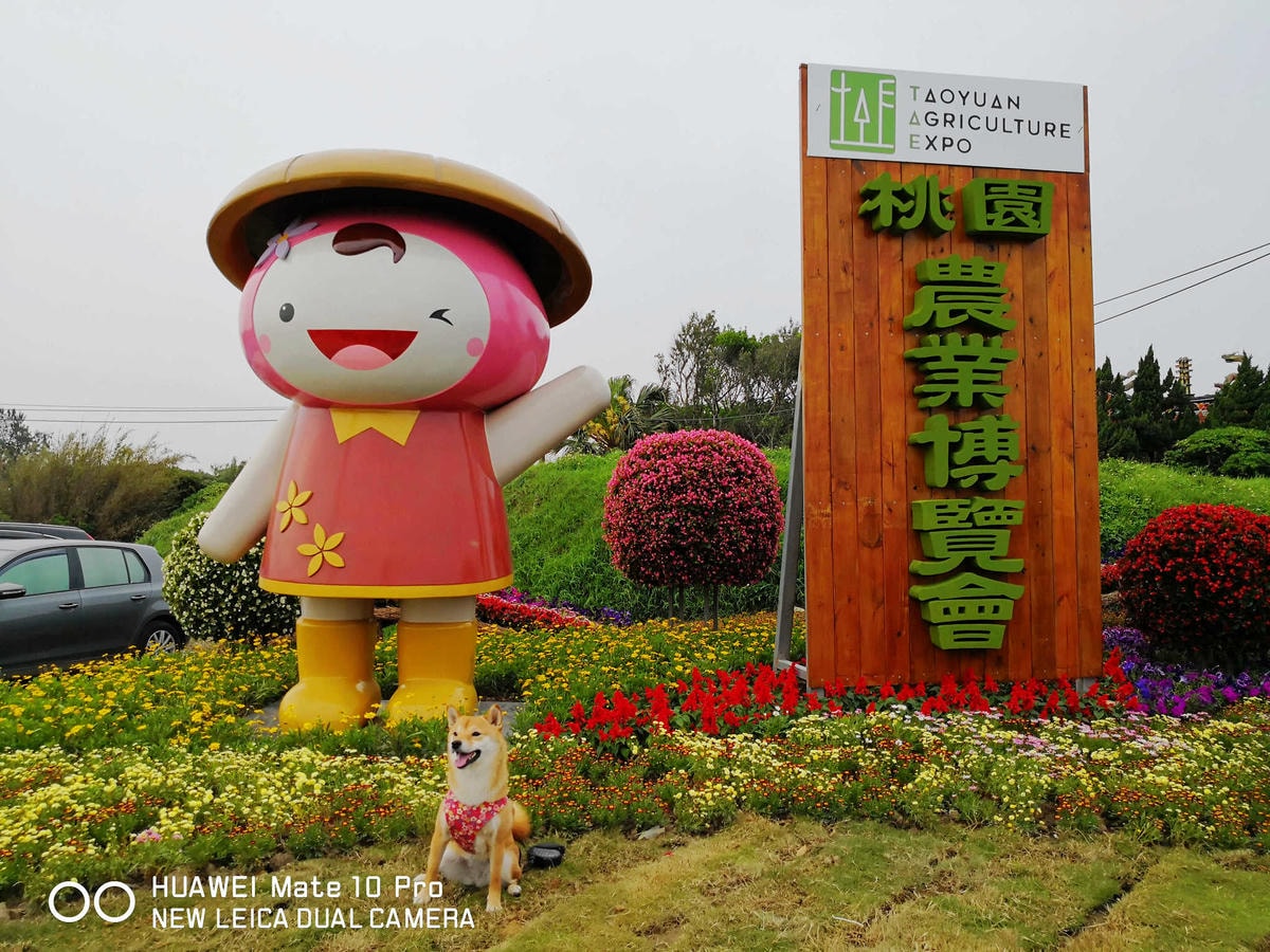 【遊。桃園】2018桃園農業博覽會〜最強地景藝術,保證拍出網美照!超好拍6大主題區、25展覽館打卡點攻略!