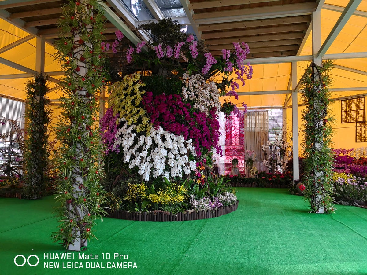 【遊。桃園】2018桃園農業博覽會〜最強地景藝術,保證拍出網美照!超好拍6大主題區、25展覽館打卡點攻略!