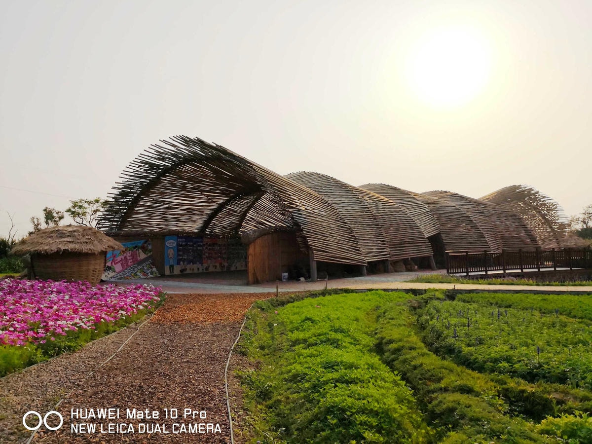 【遊。桃園】2018桃園農業博覽會〜最強地景藝術,保證拍出網美照!超好拍6大主題區、25展覽館打卡點攻略!