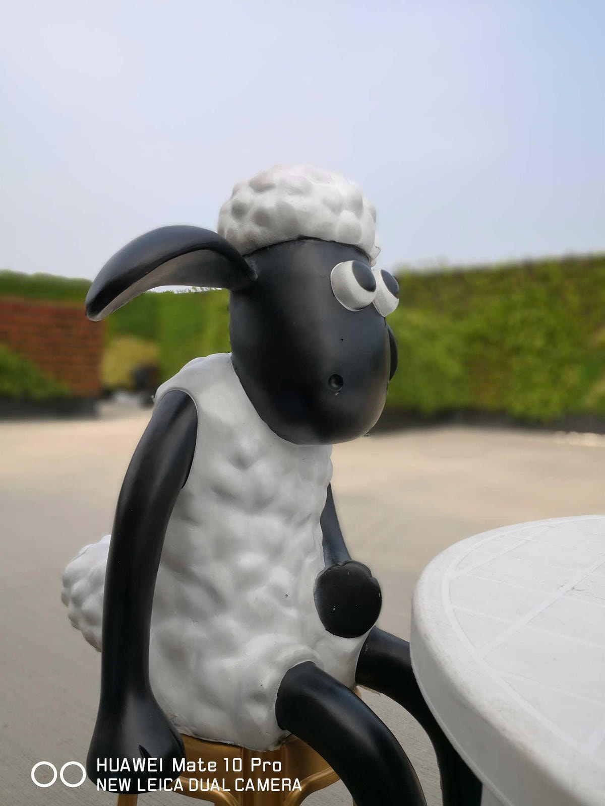 【遊。桃園】2018桃園農業博覽會〜最強地景藝術,保證拍出網美照!超好拍6大主題區、25展覽館打卡點攻略!