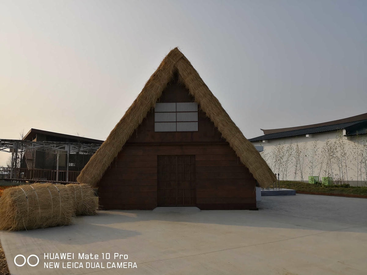 【遊。桃園】2018桃園農業博覽會〜最強地景藝術,保證拍出網美照!超好拍6大主題區、25展覽館打卡點攻略!