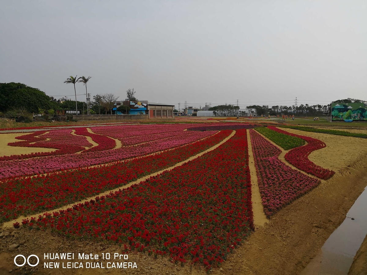 【遊。桃園】2018桃園農業博覽會〜最強地景藝術,保證拍出網美照!超好拍6大主題區、25展覽館打卡點攻略!
