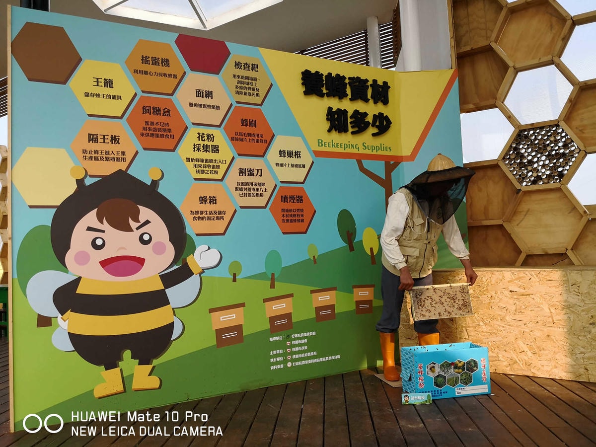 【遊。桃園】2018桃園農業博覽會〜最強地景藝術,保證拍出網美照!超好拍6大主題區、25展覽館打卡點攻略!