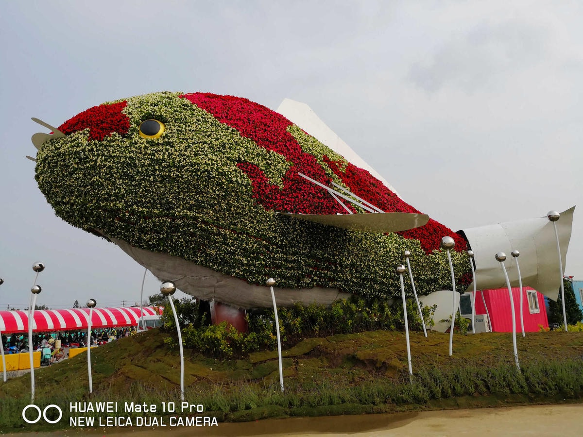 【遊。桃園】2018桃園農業博覽會〜最強地景藝術,保證拍出網美照!超好拍6大主題區、25展覽館打卡點攻略!