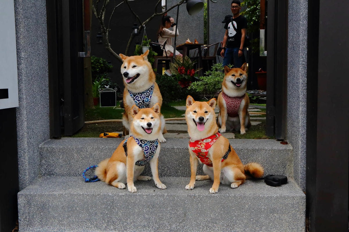 【食。桃園】沃德先生烘焙餐館〜風靡全台麵包界的超夯新寵『冰冰包』限量上市!