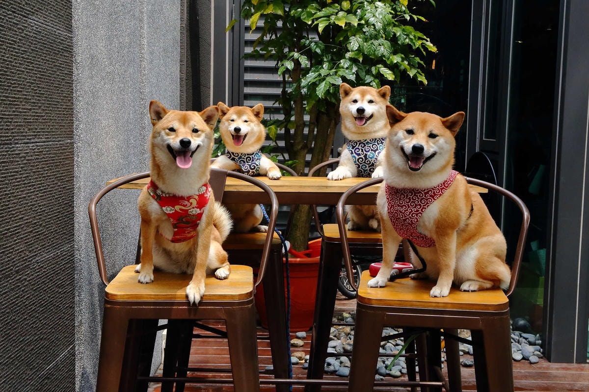 【食。桃園】沃德先生烘焙餐館〜風靡全台麵包界的超夯新寵『冰冰包』限量上市!