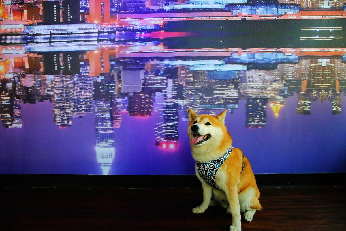 【食。桃園】大園101景觀餐廳〜桃園全新景觀餐廳。航空迷最愛！極光、燈海、飛機起降盡收眼底！(親子寵物友善餐廳)