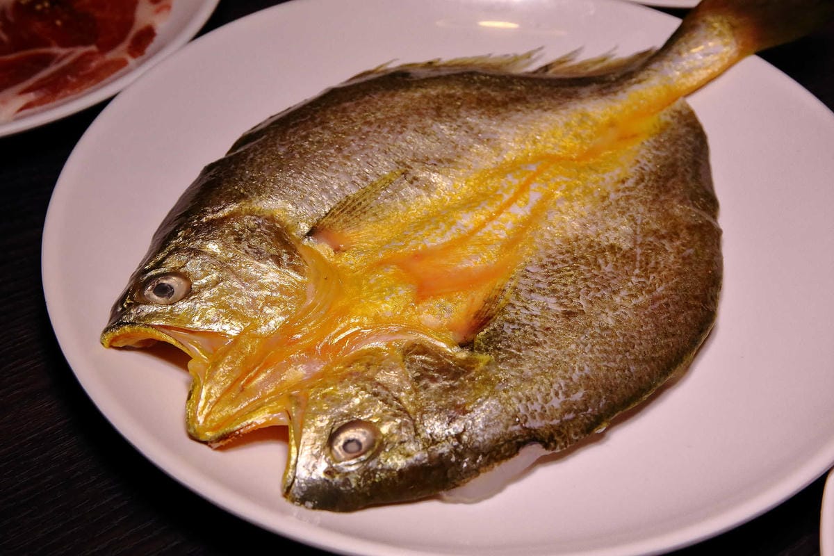 【食。台北】哈肉燒〜單點式優質燒肉專賣。台北市下班後小酌美食