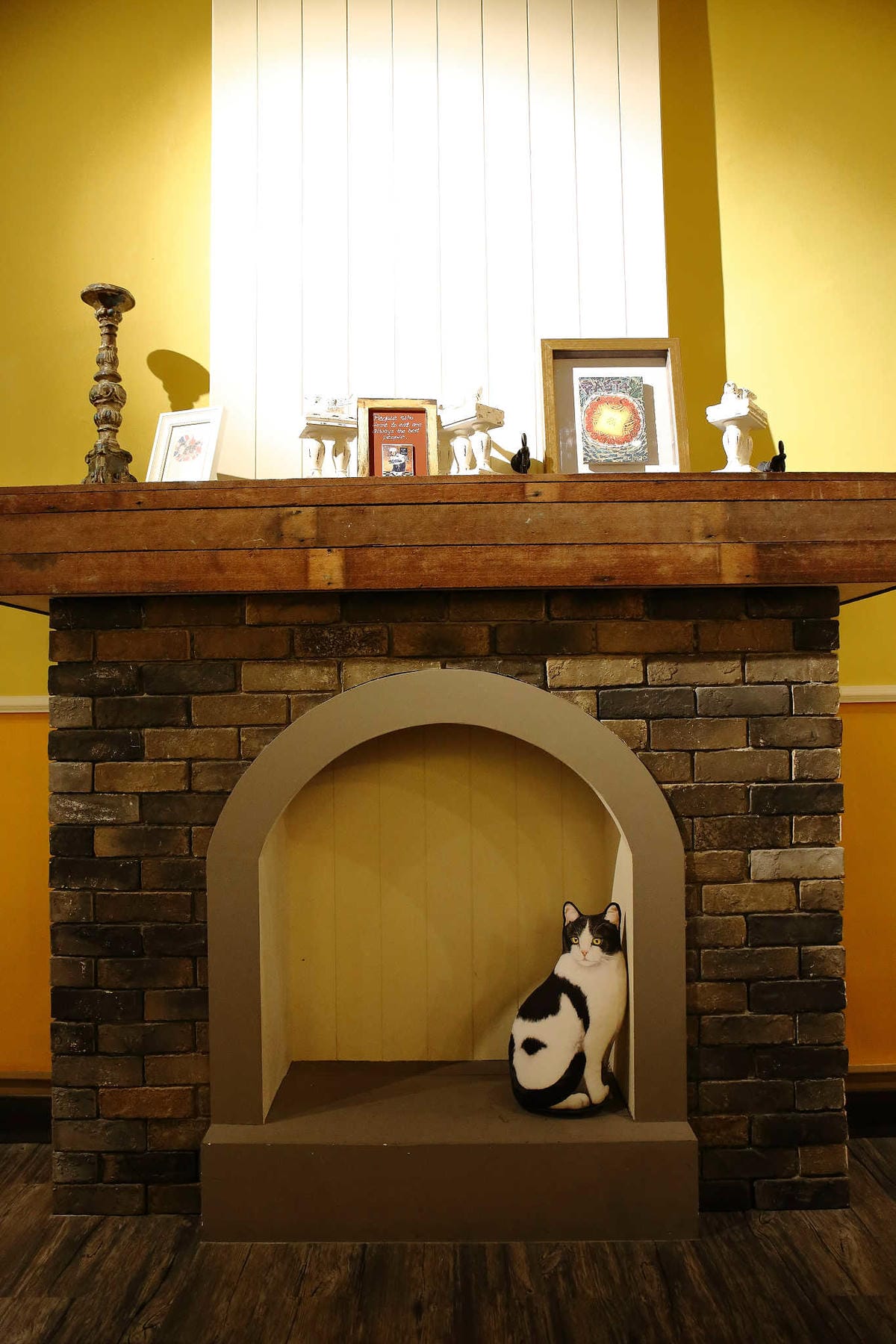 【食。永和】貓子曬太陽〜親子寵物友善餐廳。隱身巷弄的老宅且充滿歐風餐廳氛圍，CP值高的創意義式料理+早午餐