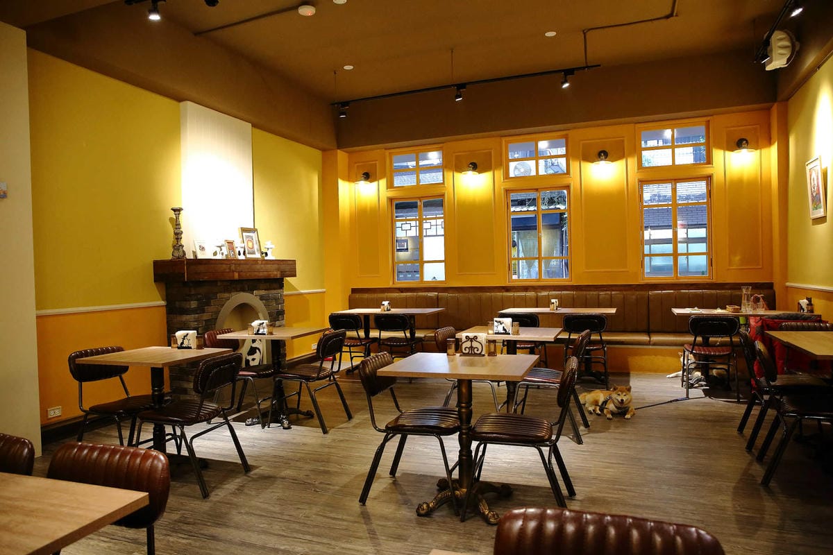 【食。永和】貓子曬太陽〜親子寵物友善餐廳。隱身巷弄的老宅且充滿歐風餐廳氛圍，CP值高的創意義式料理+早午餐