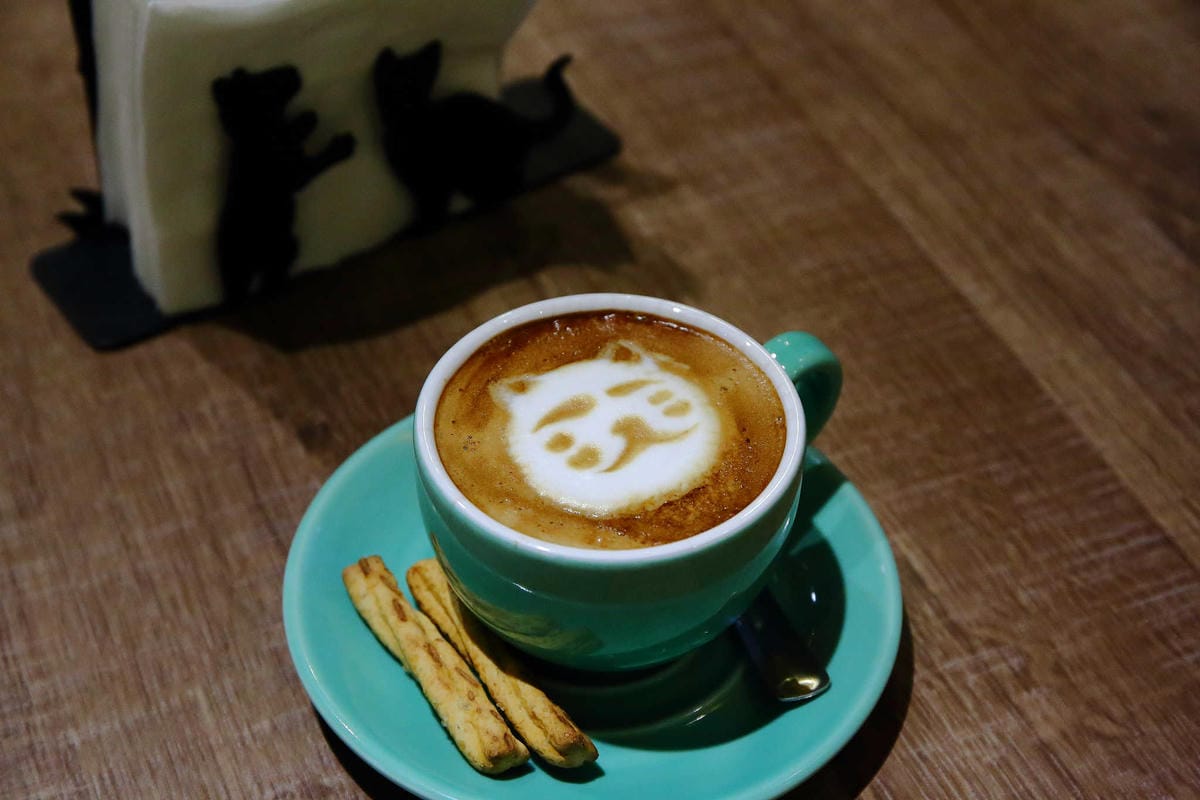 【食。永和】貓子曬太陽〜親子寵物友善餐廳。隱身巷弄的老宅且充滿歐風餐廳氛圍，CP值高的創意義式料理+早午餐