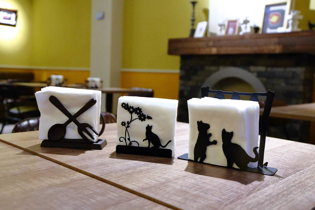 【食。永和】貓子曬太陽〜親子寵物友善餐廳。隱身巷弄的老宅且充滿歐風餐廳氛圍，CP值高的創意義式料理+早午餐