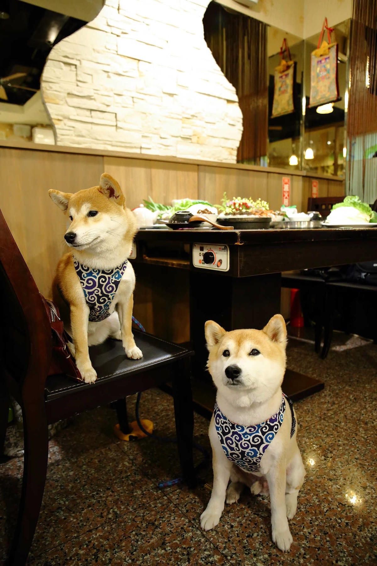 【食。新莊】喜園風味涮涮鍋〜新莊火鍋推薦！人氣老字號火鍋店海陸大餐，涮涮鍋界的LV！