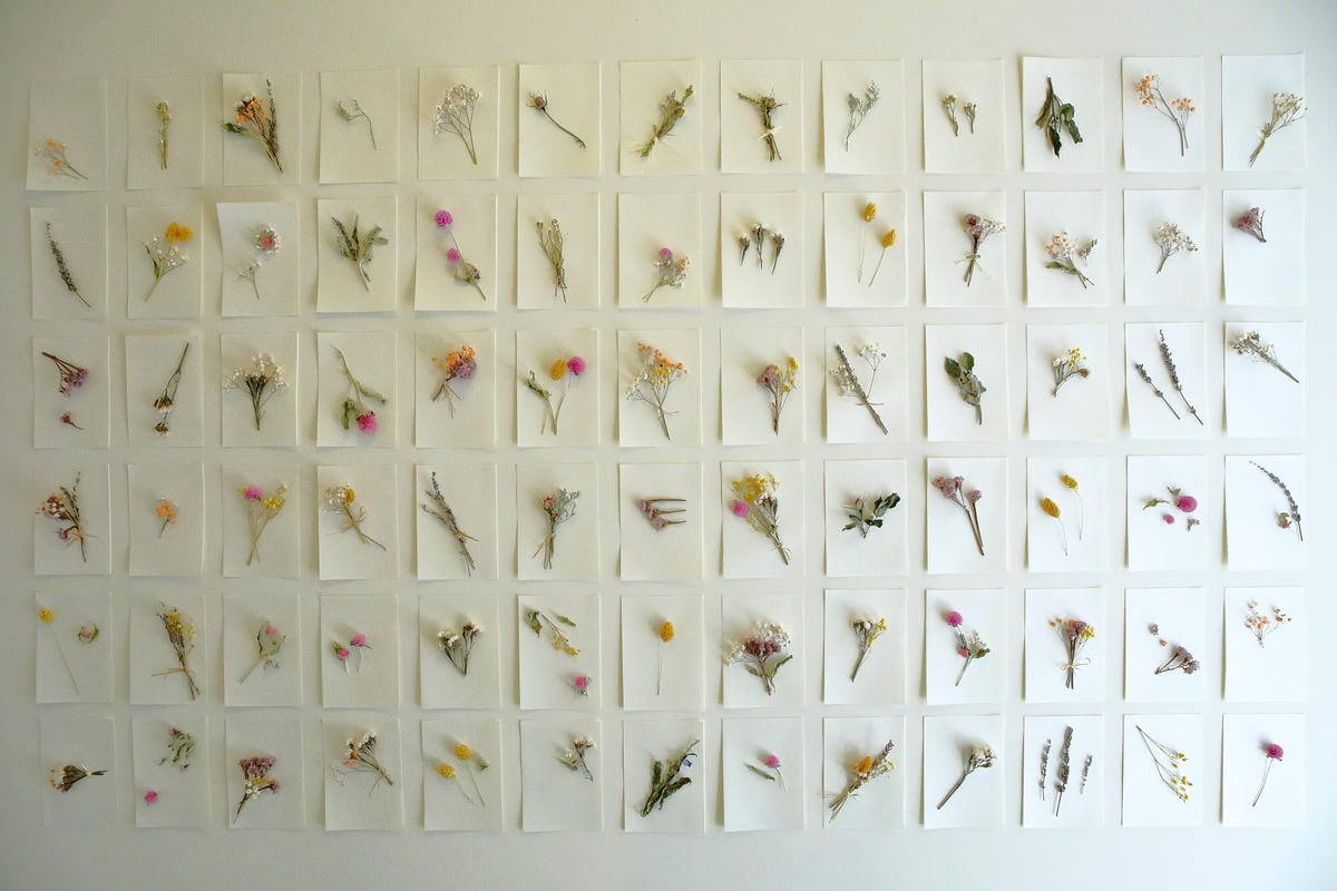 【食。桃園】啊雜 AAAzakka〜IG粉別錯過，超可愛壽司，健康零負擔×造型超多樣，讓你一口也捨不得咬下去